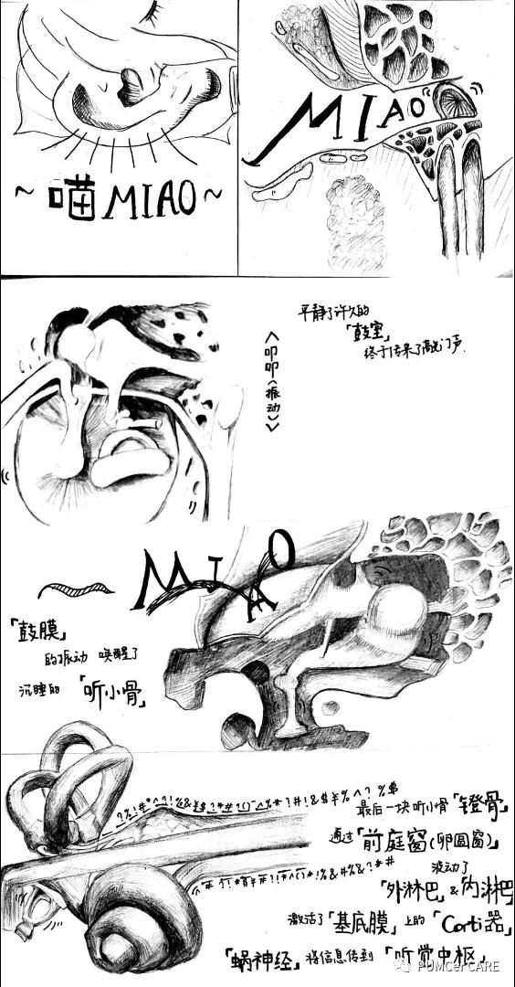 医学解剖创意绘画及作品简介,解剖手骨绘图大赛手绘图