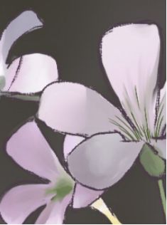 板绘怎么调整位置,板绘勾线手不稳