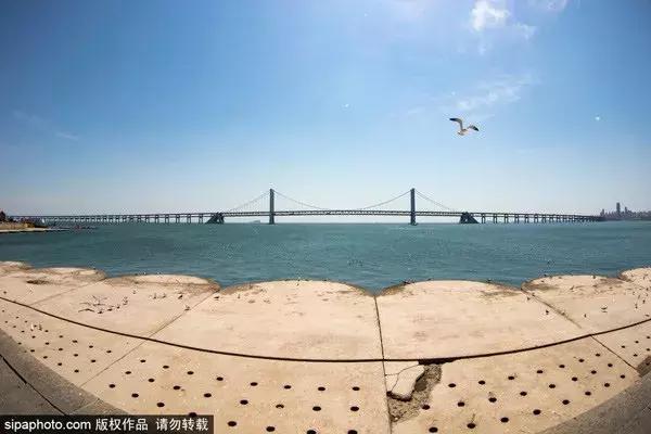 9月特价机票抢购,8月特价机票汇总