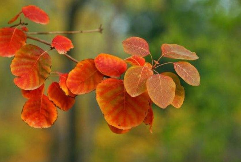 人生真正的迷茫从四十岁开始,人到中年开始思考人生的苦涩了吗