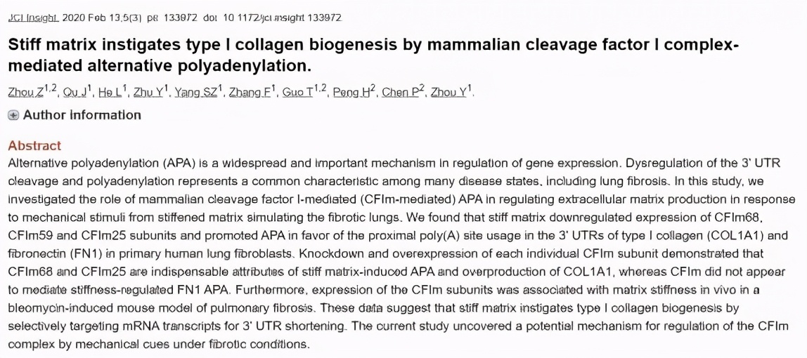 湘雅附二医院呼吸内科哪个医生好,湘雅二医院呼吸与危重科主任