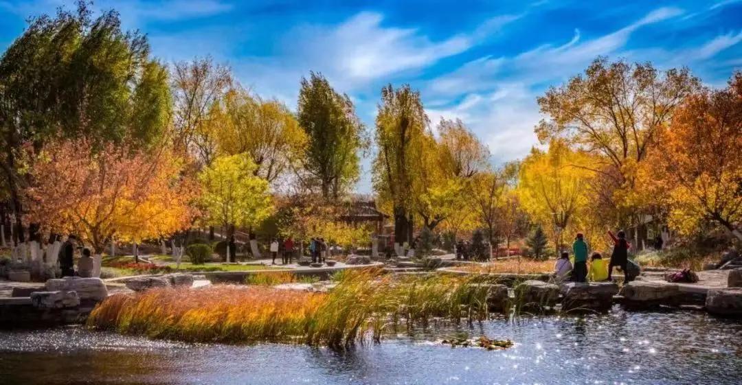 创森进行时丨立冬后，我把丰台的秋，收进了相册里