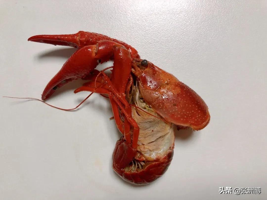 网红红黑榜,今年小龙虾排行榜