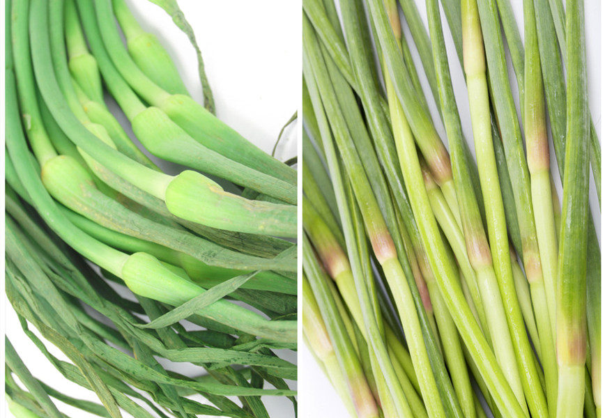 同样是黄心菜区别为啥那么大,买蒜苔红头的好还是绿头的好