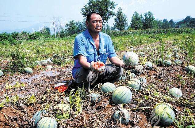 现在农业为什么越来越难做,农业为什么越来越难挣钱了