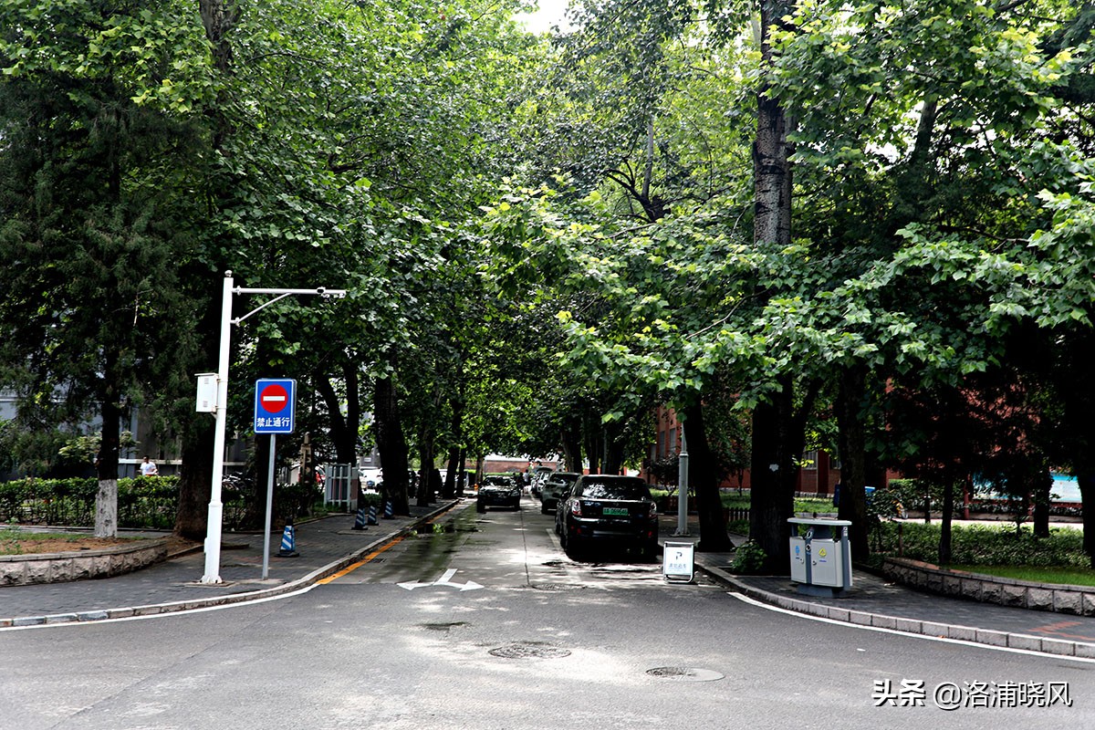 北京二外通州校区,北京二外的小语种有多好