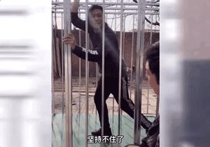 网红发明家手工耿,100件无厘头发明背后,是真实生活的心酸