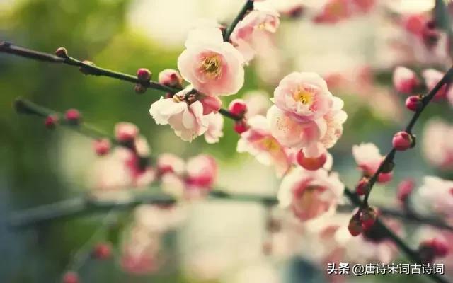 颠覆认知的古诗,颠覆认知脑洞大开的语句