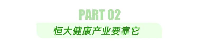恒大健康城最新真实消息,恒大健康最新发布会