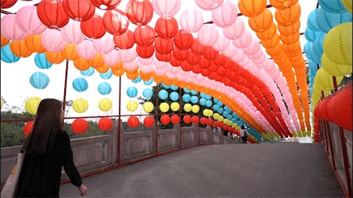 赏花海+机动游戏任玩+VR体验、5D电影等！还有财神爷派利是！