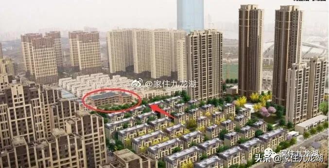 九龙湖有私立幼儿园,九龙湖什么幼儿园最好