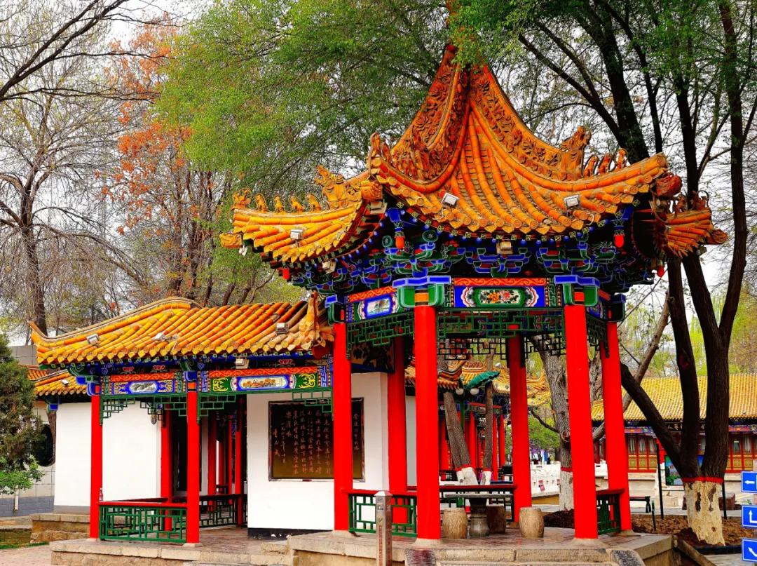 宁夏银川街心公园,银川兴庆区宁园门票多少