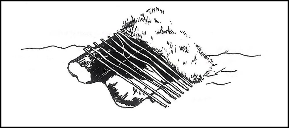 硬核保命指南,豆瓣评分6.7的书该不该看