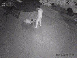 女孩深夜被暴打28次，当街扒衣拖行：孩子，你不必那么善良