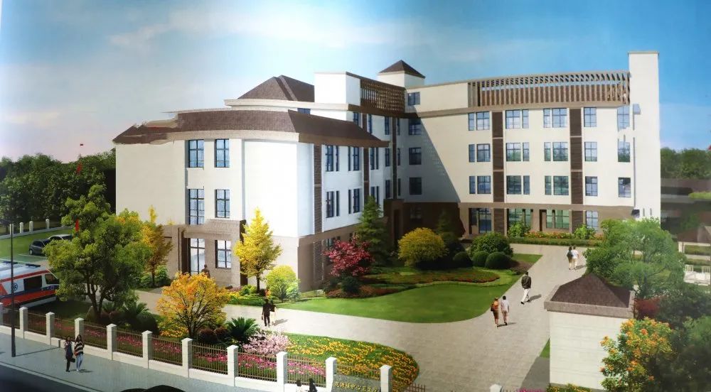 新津县公立卫生院,成都市医疗卫生服务体系规划