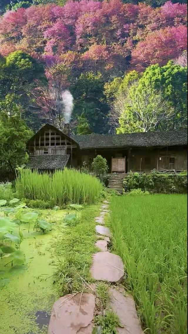 刀光枪影刀光侠影全45集,刀光刀影128集