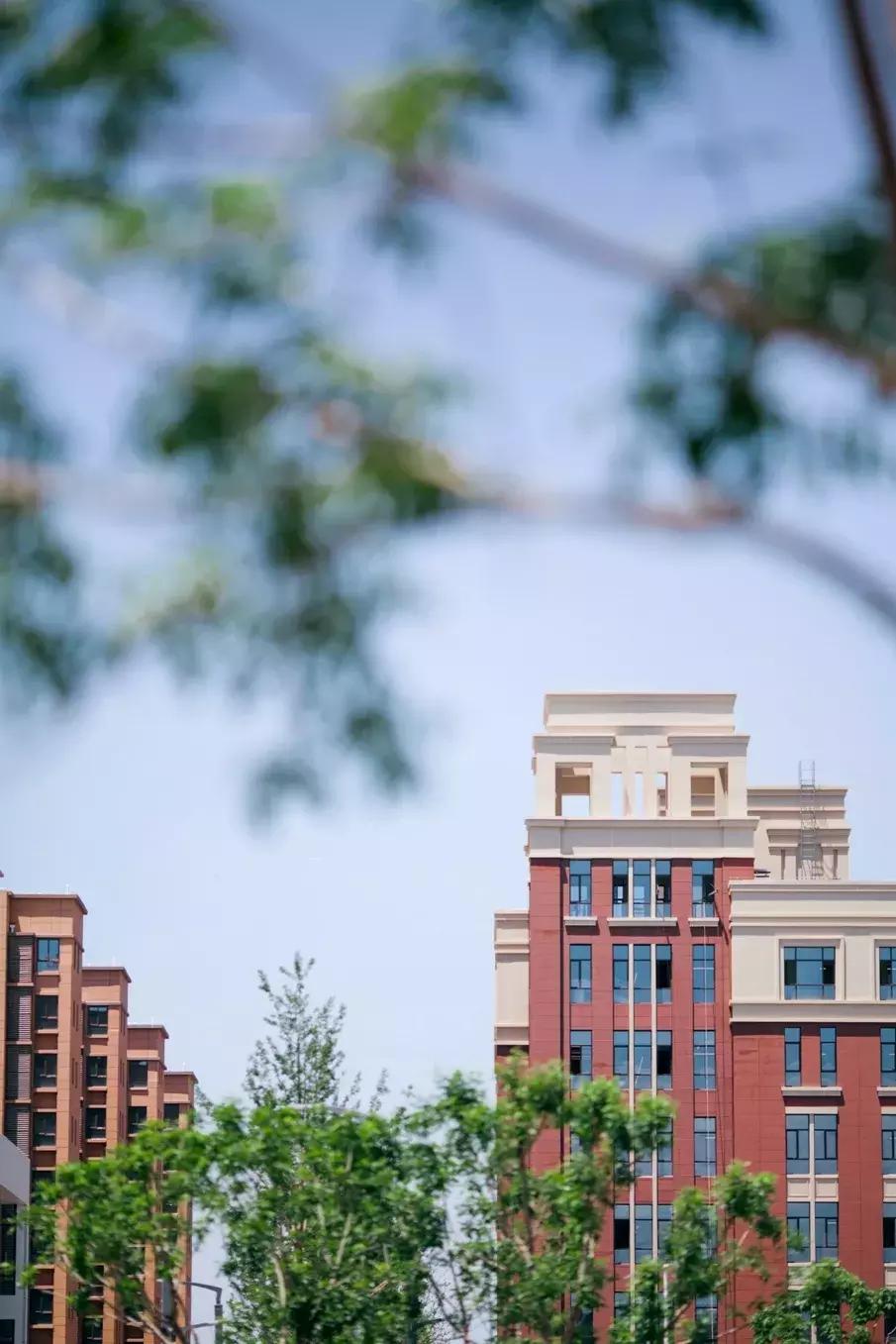 官宣!创新港景观命名发布,可以在河滩上踢足球、湿地里喝咖啡、森林里做研究......