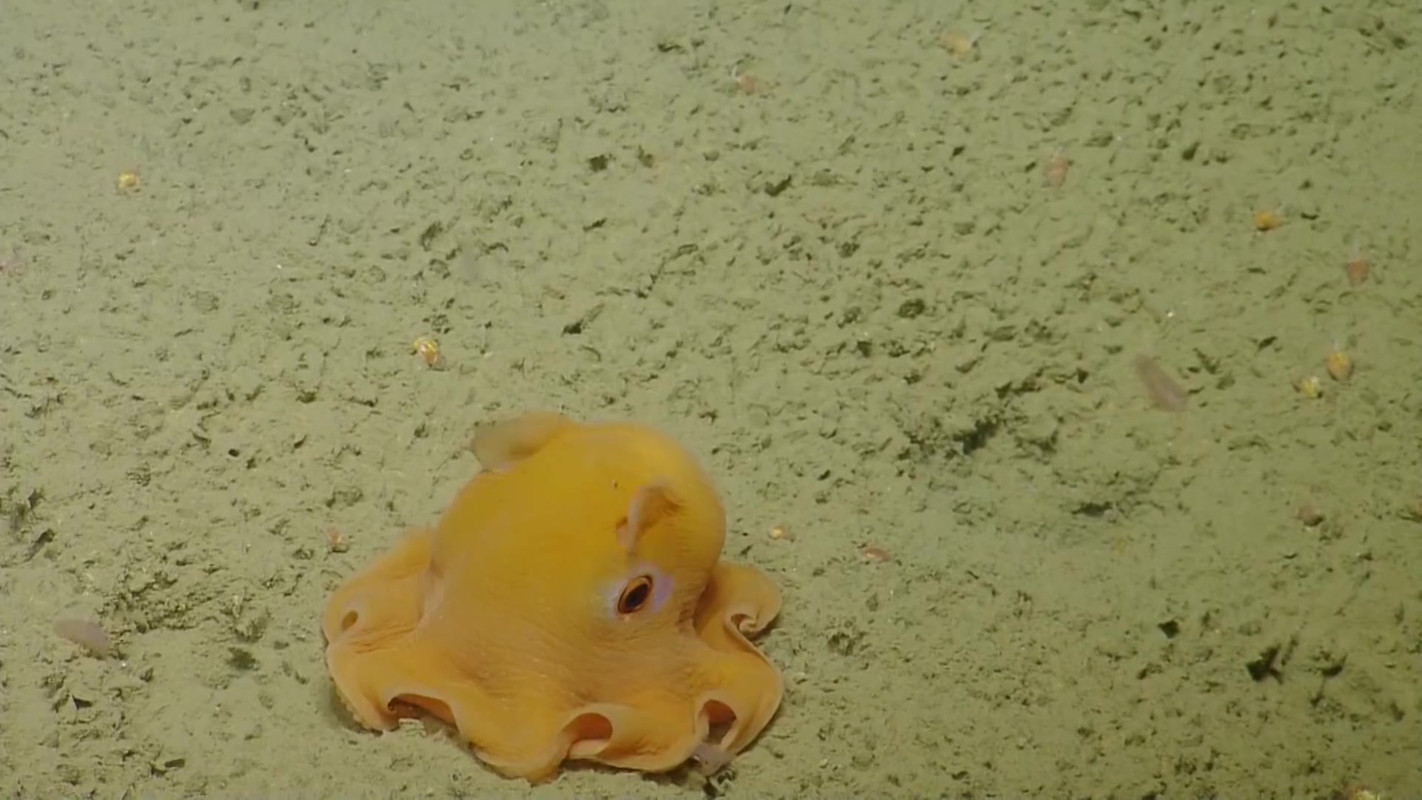 <html>
<head><title>502BadGateway</title></head>
<body>
<center><h1>502BadGateway</h1></center>
<hr><center>nginx</center>
</body>
</html>
<!--apaddingtodisableMSIEandChromefriendlyerrorpage-->
<!--apaddingtodisableMSIEandChromefriendlyerrorpage-->
<!--apaddingtodisableMSIEandChromefriendlyerrorpage-->
<!--apaddingtodisableMSIEandChromefriendlyerrorpage-->
<!--apaddingtodisableMSIEandChromefriendlyerrorpage-->
<!--apaddingtodisableMSIEandChromefriendlyerrorpage-->
