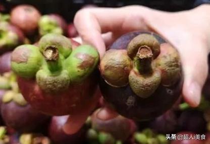 水果皇后山竹你喜欢吃吗,水果皇后山竹在几月份成熟