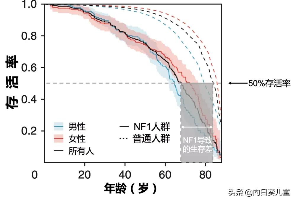 神经纤维瘤2型寿命,神经纤维瘤1型影响身高