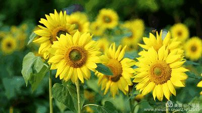 齐相聚，话成长——忻府区团结路小学家校共建助力成长