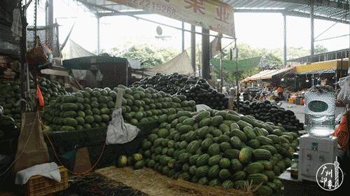 超抵食！在这些市场买水果，20块可以抱走一筐~