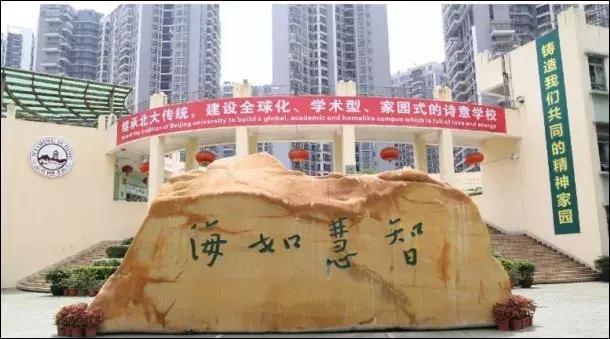 深圳市民办小学排名一览表前100名,深圳小学民办好还是公立好