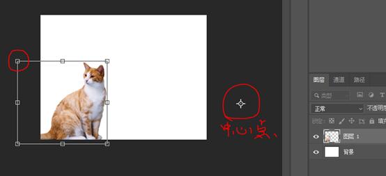 你不知道的ps旋转再制新玩法,你不知道的ps绘画小技巧
