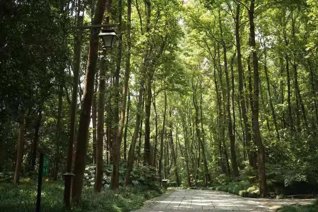 杭州小渔村旅游攻略图大全,杭州必去景点攻略图片高清