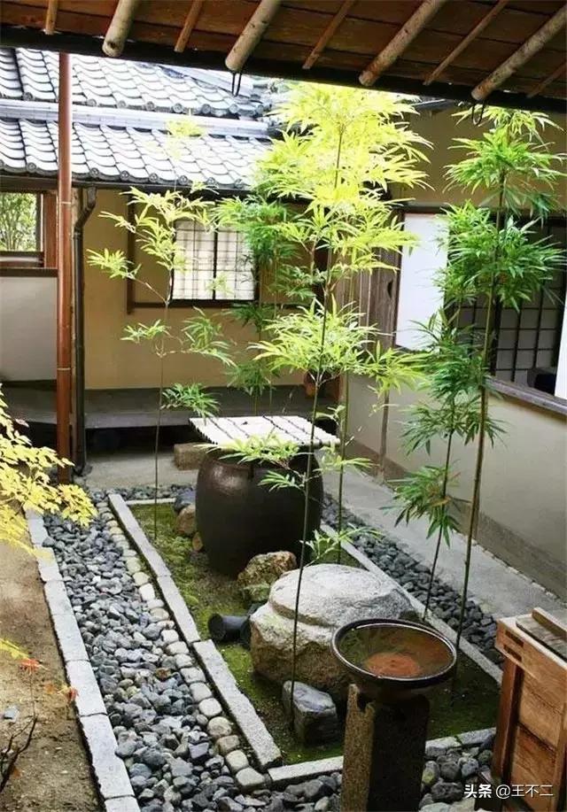 远赴人间盛宴谈笑风生不动情,远赴人间惊鸿宴谈笑风生不动情