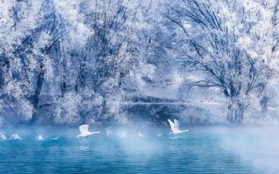 冬天情侣去哪里旅游最适合,适合情侣两三天的短途冬日旅游