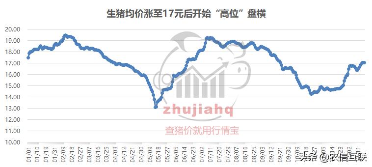 猪价全线下跌反弹时机是否可期,猪价回落养猪十年