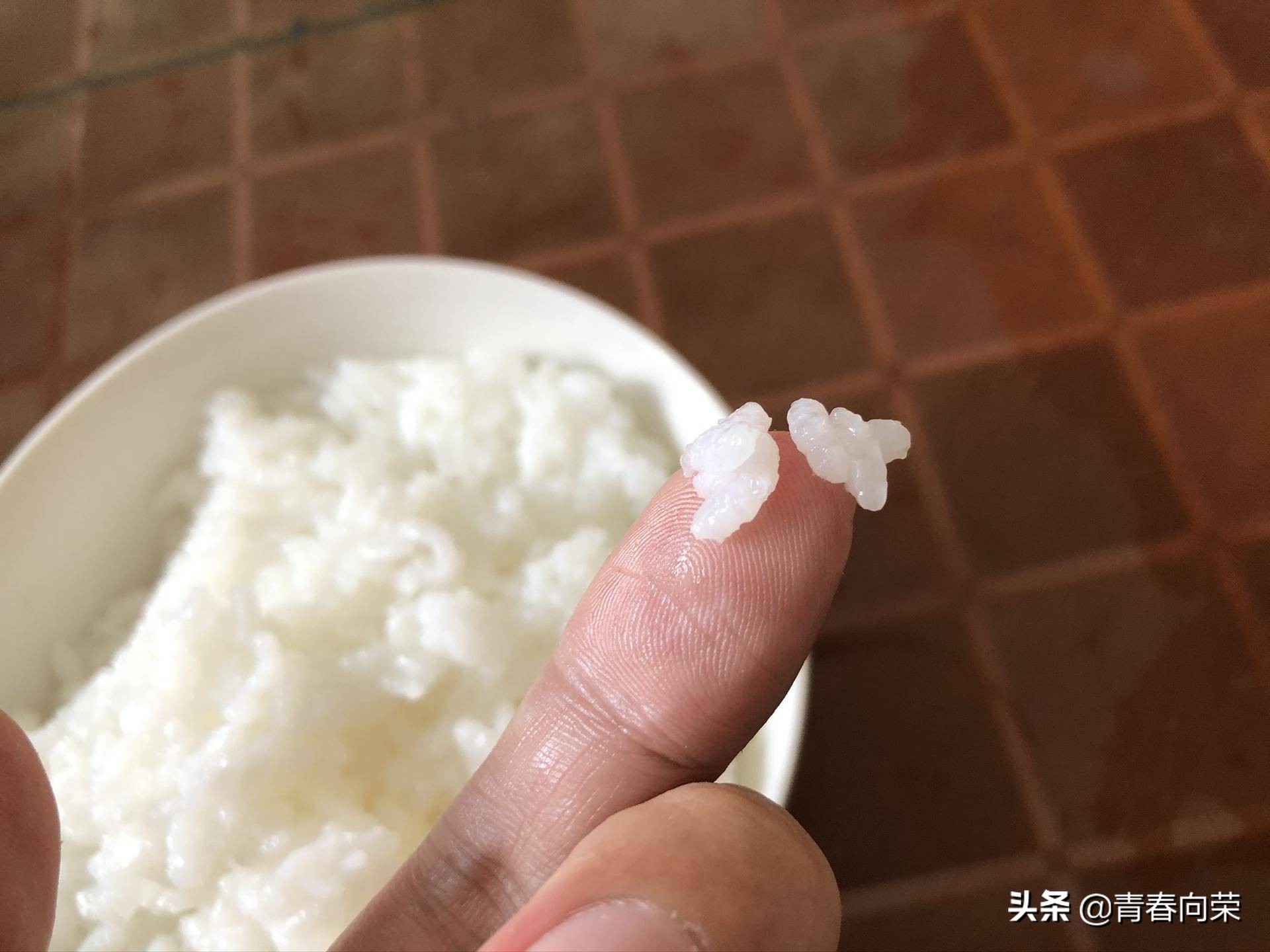 央视降糖电饭煲测评,脱糖电饭煲真的好用吗