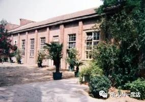 认识另一个“466”