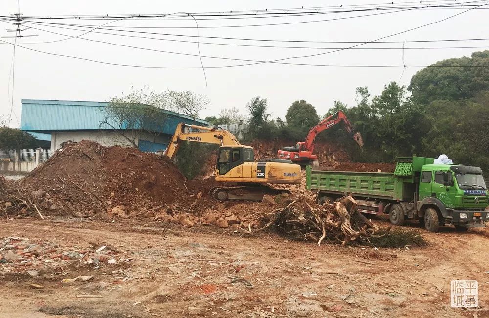 临平体育公园游泳,临平体育公园篮球场地