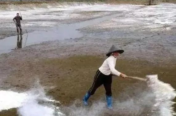 养殖土地杀菌药最好的是什么药,水产养殖消毒产品