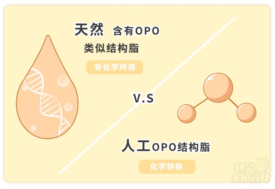 选一款适合宝宝体质的奶粉,如何选择学生奶粉更适合宝宝