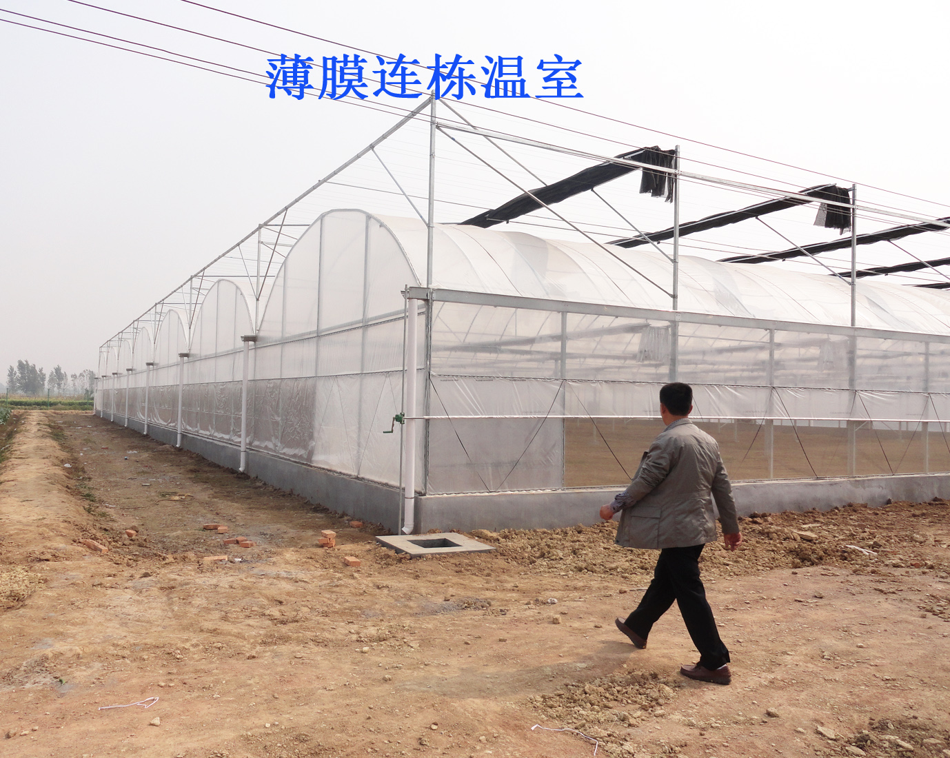 轻钢结构连栋薄膜温室大棚,连栋大棚建造全过程