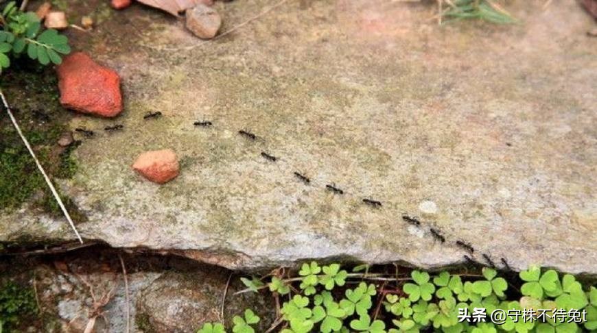 100个冷知识是什么,100万个冷知识