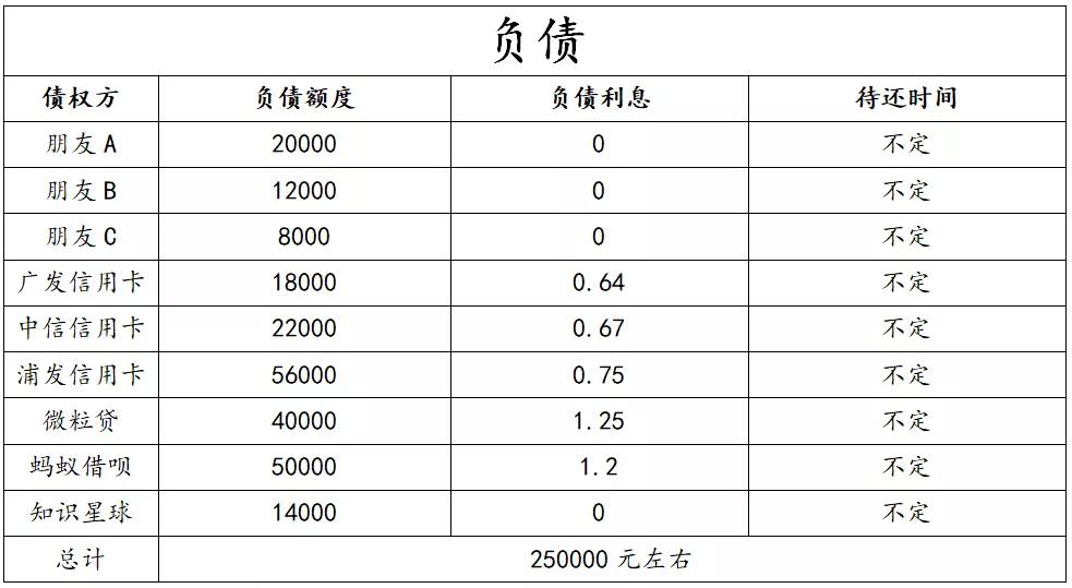 负债25万如何计划还款,负债25万如何处理