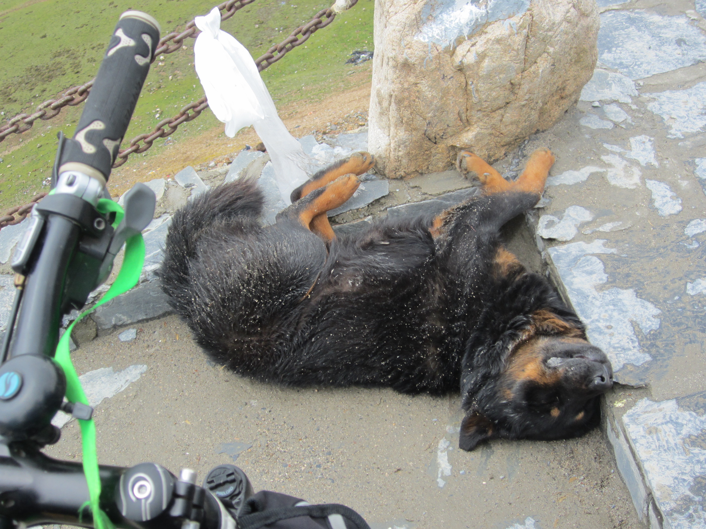 摩托车骑行长途要注意哪些事项,踏板摩托车长途骑行注意事项