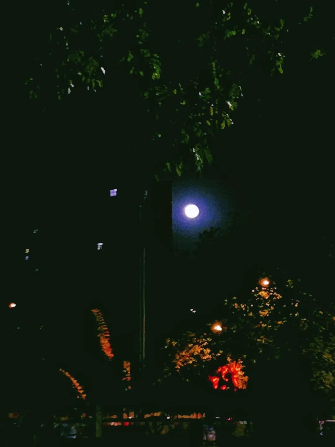 大学毕业，我在西安做调酒师