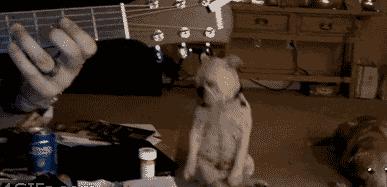 每日一笑看完你能不能忍住不笑,每日一笑看了让你笑