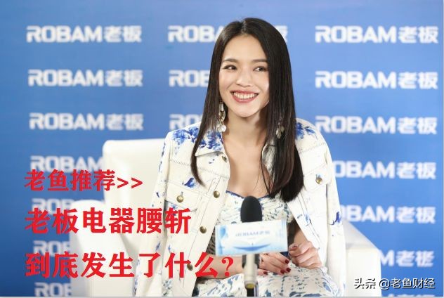 2020年最好10只股票,2020年最有潜力的5只股票