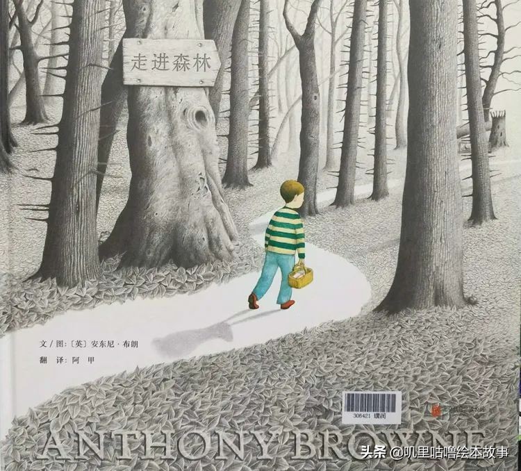 安东尼布朗儿童绘本合集,安东尼布朗出品的绘本有哪些