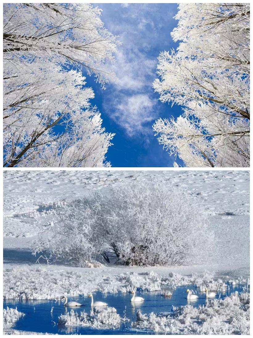 新疆昭苏冰雪文化旅游攻略,新疆昭苏冰雪旅游节