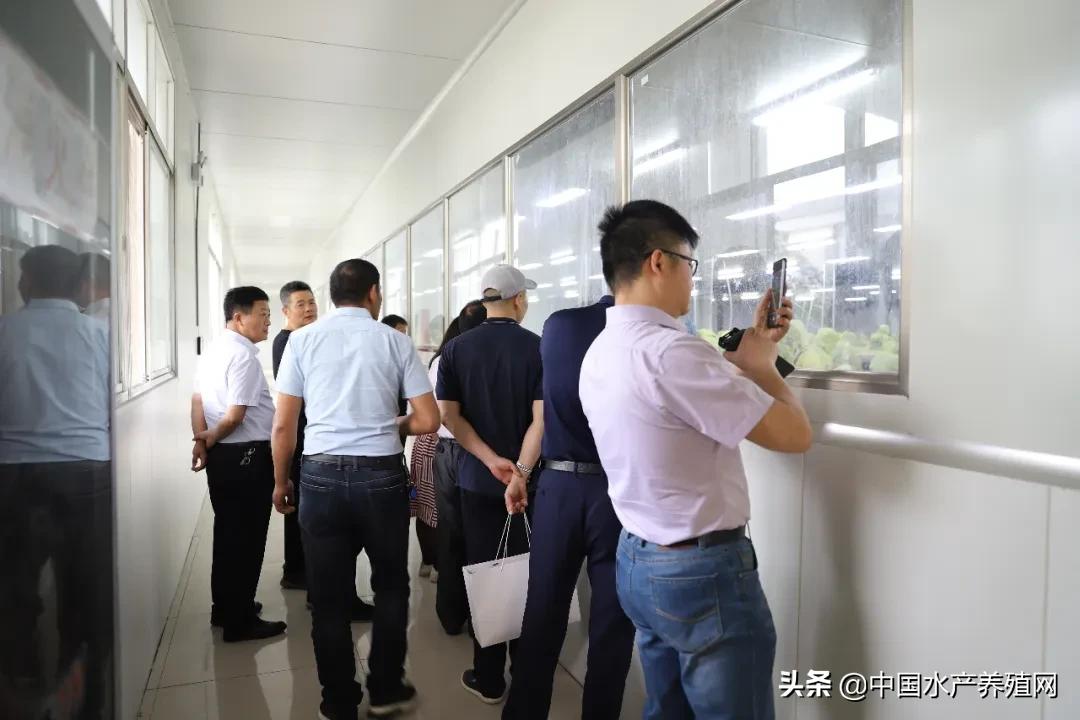 安徽省渔业协会,安徽渔业协会