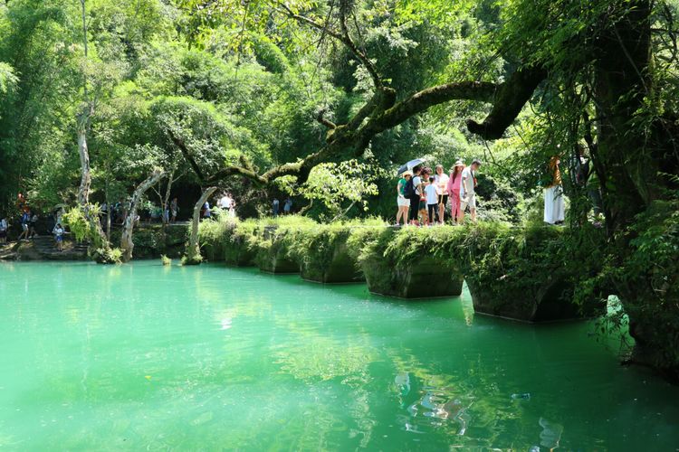 地球上的绿腰带贵州荔波小七孔,世界的绿宝石荔波