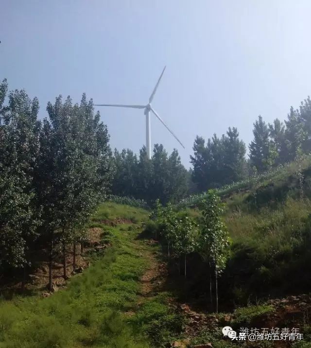 西行纪的最后一集,西行纪最后片段