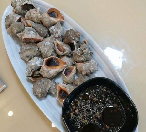 海螺吃生蚝事件,吃20斤大海螺